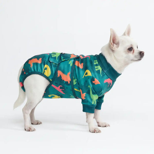 Dog Surgical Suit - Dinosaurs