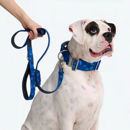 Leash and Poop Bag Holder Set - Blue Camo