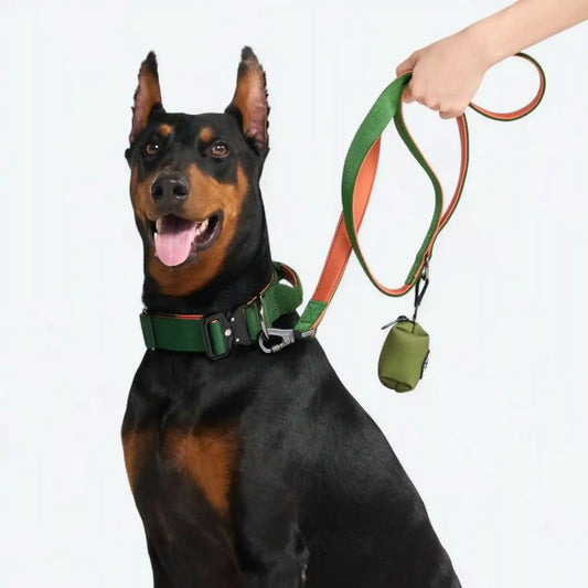 Comfort Control Collar - Green Orange