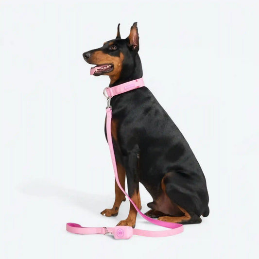 Leash and Poop Bag Holder Set - Pink