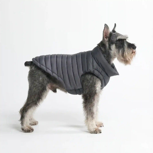 PuffShield Winter Jacket - Black