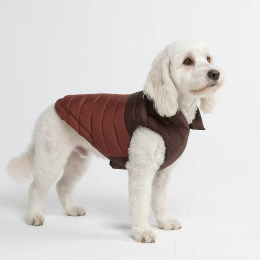 PuffShield Winter Jacket - Brown