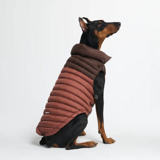 PuffShield Winter Jacket - Brown