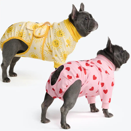 Dog Surgical Suit 2-pack