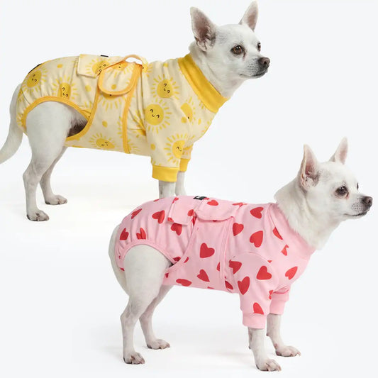 Dog Surgical Suit 2-pack