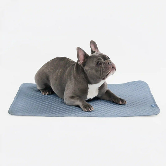 Frostcore™ Cooling Mat - Ash Blue