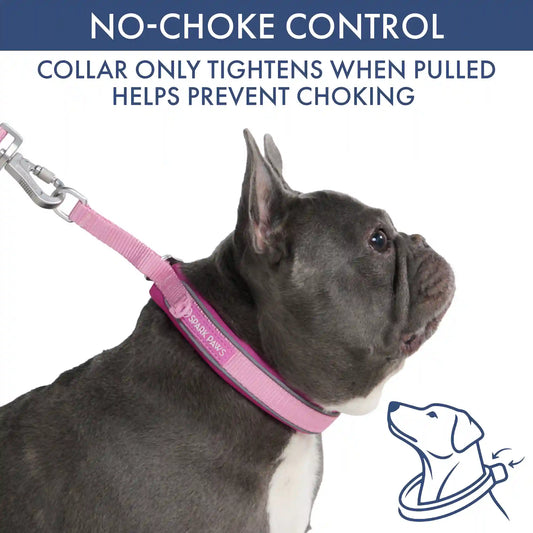 Martingale Collar and Multipurpose Leash Set - Pink