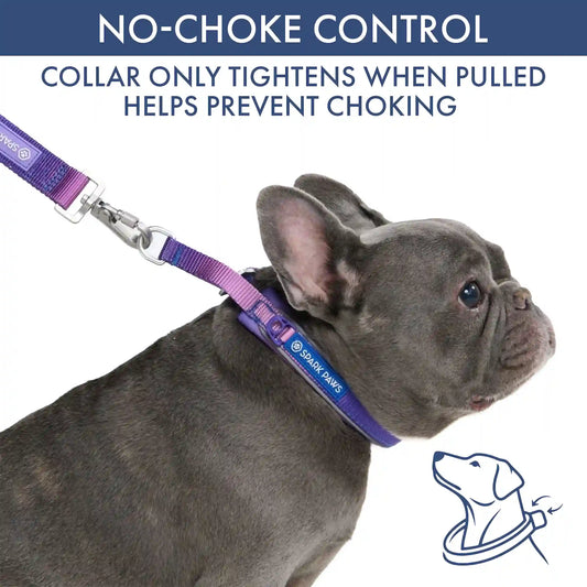 Martingale Collar and Multipurpose Leash Set - 90s Retro