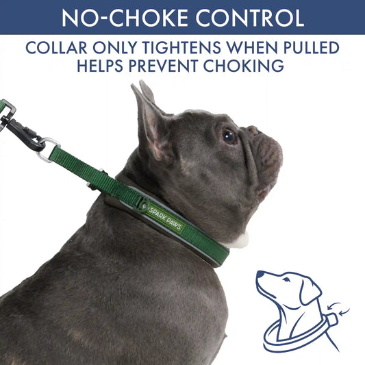 Martingale Collar and Multipurpose Leash Set - Army Green