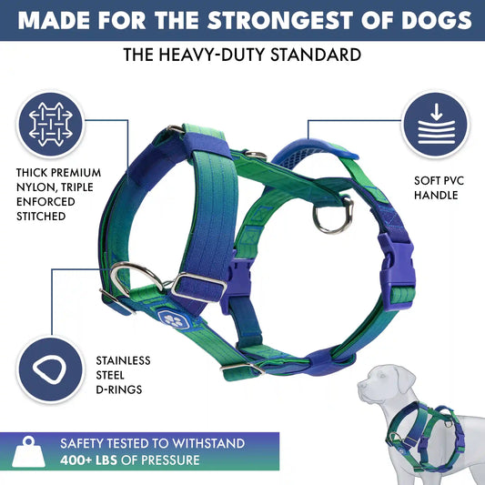 Comfort Control No-Pull Dog Harness Set - Lime Wave