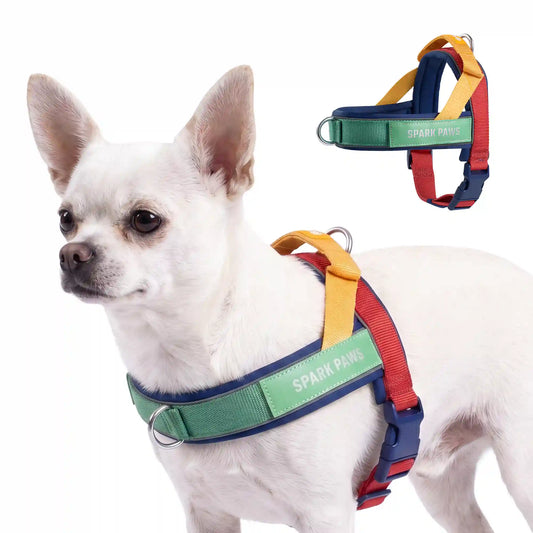 Grab & Go Harness - Primary