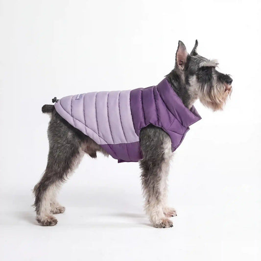 PuffShield Winter Jacket - Purple