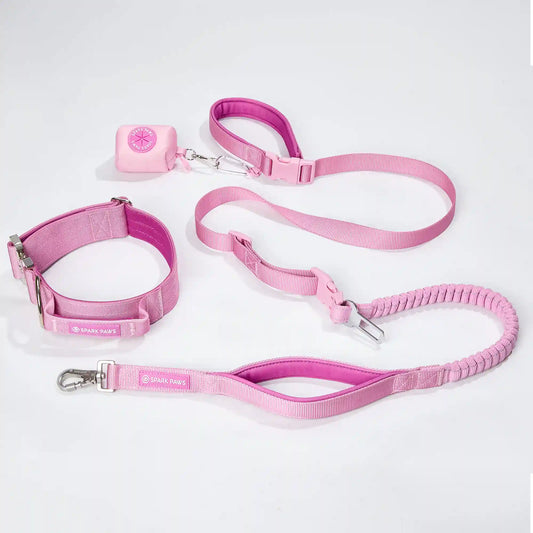 Comfort Control Collar and Multipurpose Leash Set - Pink