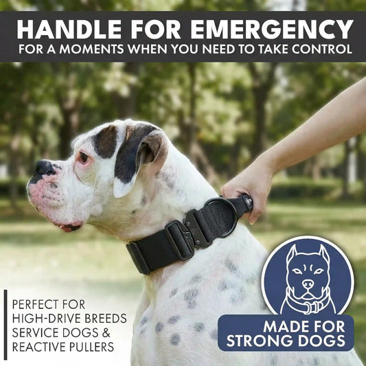 Comfort Control Collar Set - Black
