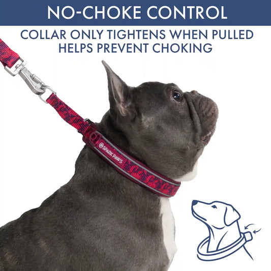 Martingale Collar and Multipurpose Leash Set - Fuchsia Camo