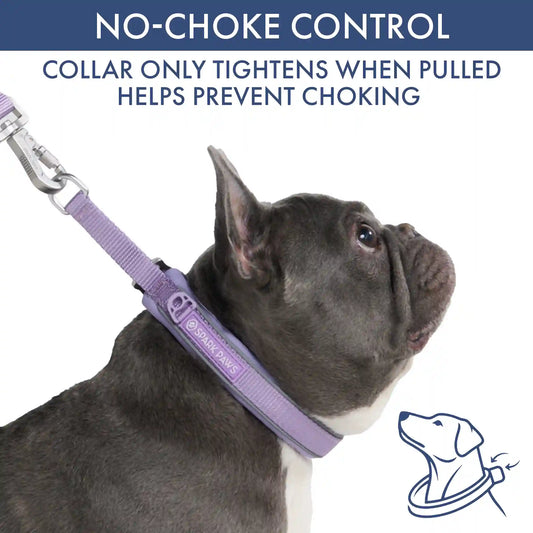 Martingale Collar and Multipurpose Leash Set - Lilac