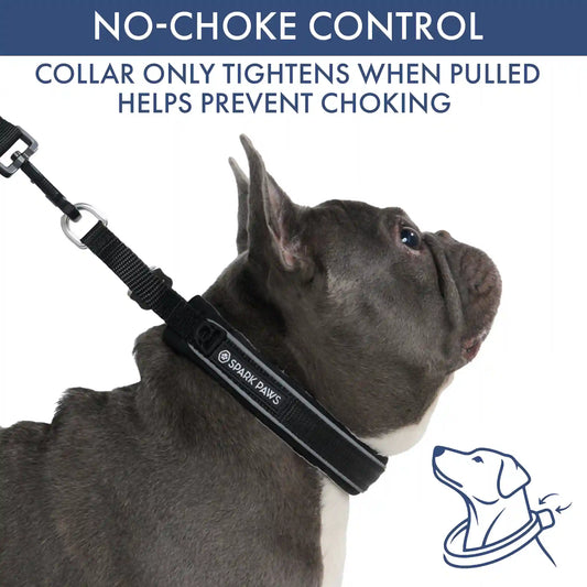 Martingale Collar and Multipurpose Leash Set - Black