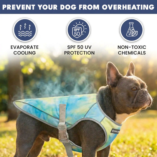 Dog Cooling Vest (2-pack) - Snow Cone & Tropical Storm