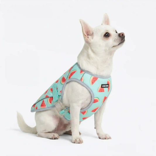 Dog Cooling Vest - Watermelon