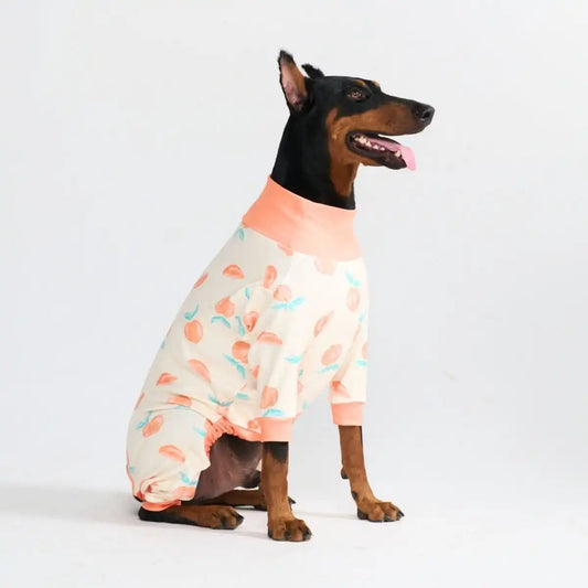 Dog Pajama - Peaches