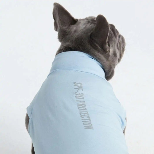 Sunblock Dog T-Shirt - Blue