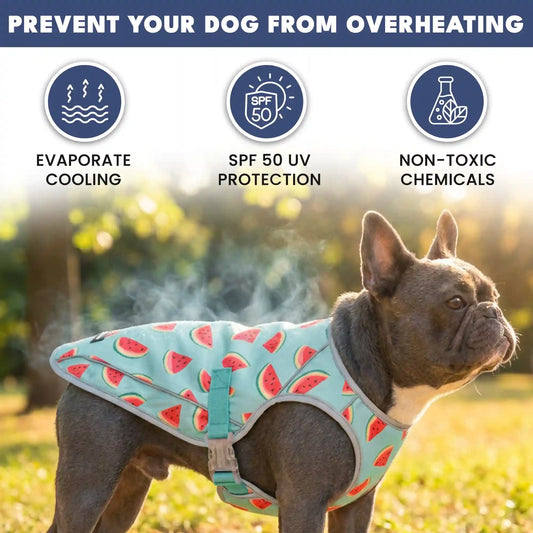 Dog Cooling Vest (2-pack) - Popsicles & Watermelon